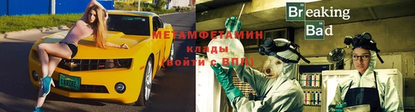 индика Волоколамск