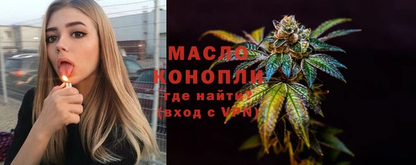 индика Волоколамск