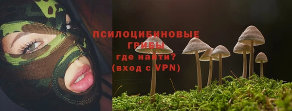 2c-b Верея