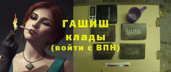 индика Волоколамск