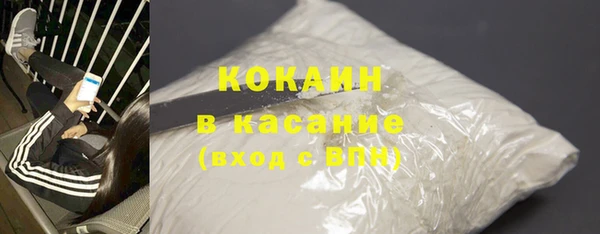 индика Волоколамск