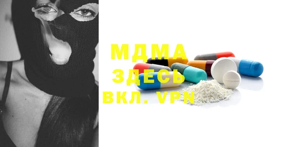 индика Волоколамск