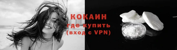 индика Волоколамск