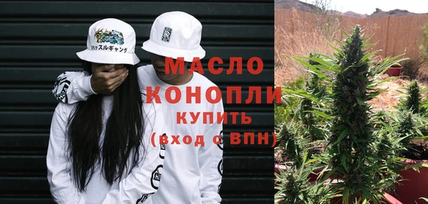индика Волоколамск