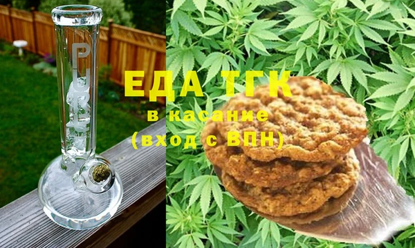 индика Волоколамск