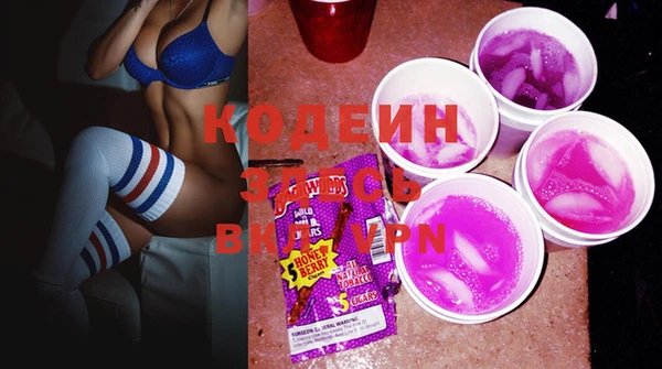 индика Волоколамск