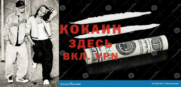 индика Волоколамск