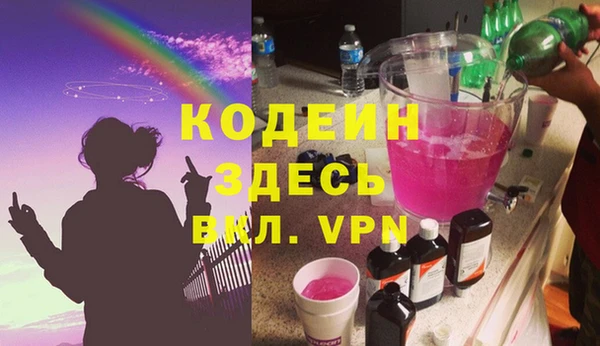 индика Волоколамск