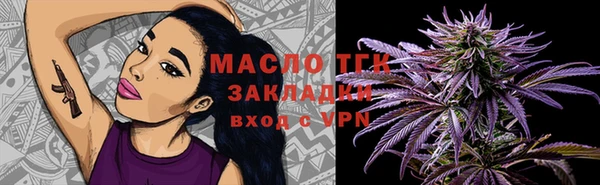 индика Волоколамск