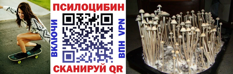 Галлюциногенные грибы мицелий Выборг